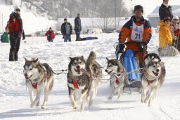 Lenk 2012 SM